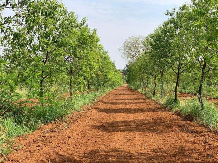 Luxary Land Holdings